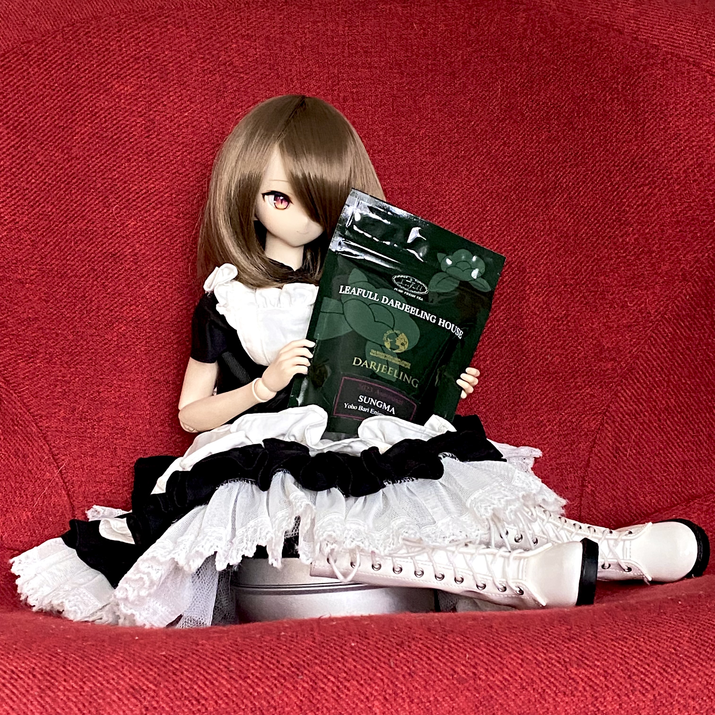 うちのこ紹介写真